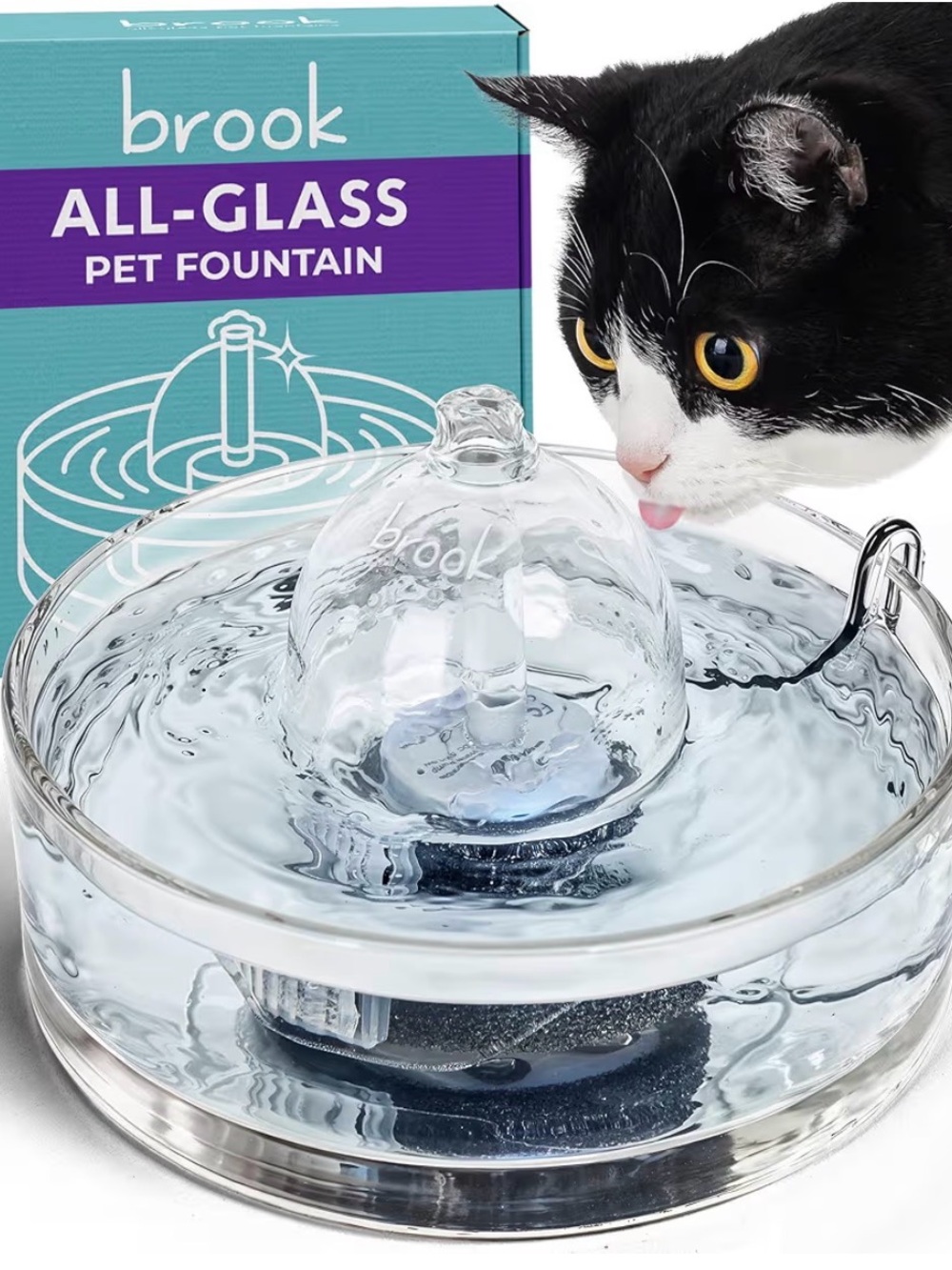 Brooks Clear Glass Cat Water Fountain with Dome